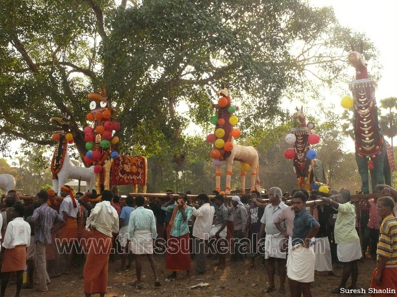 mangad-pooram-2012 (15)